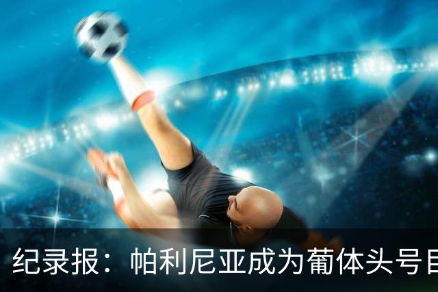 纪录报：帕利尼亚成为葡体头号目标，希望在新赛季开始前敲定交易